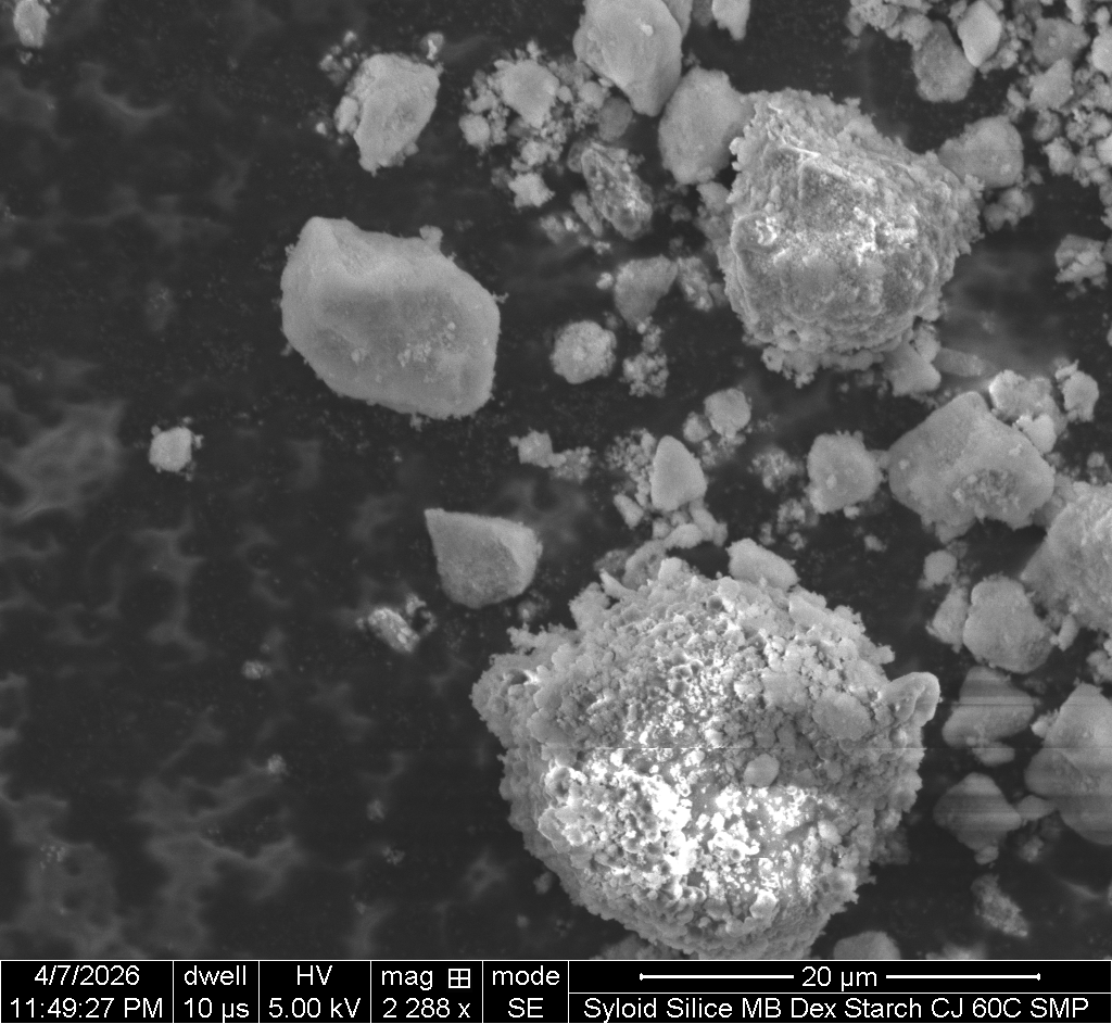 SEM sample 20 um