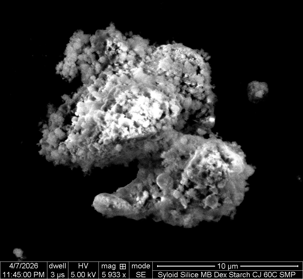 SEM sample 10 um