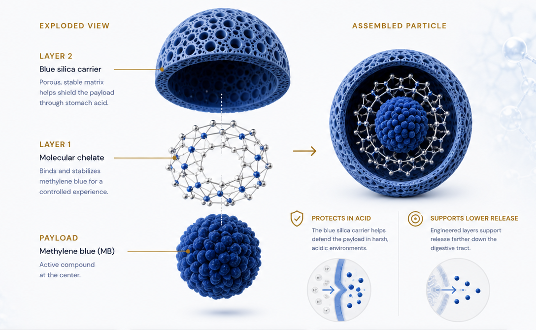 Exploded visual showing layer two blue silica carrier, layer one molecular chelate, methylene blue payload, and the assembled chelated particle
